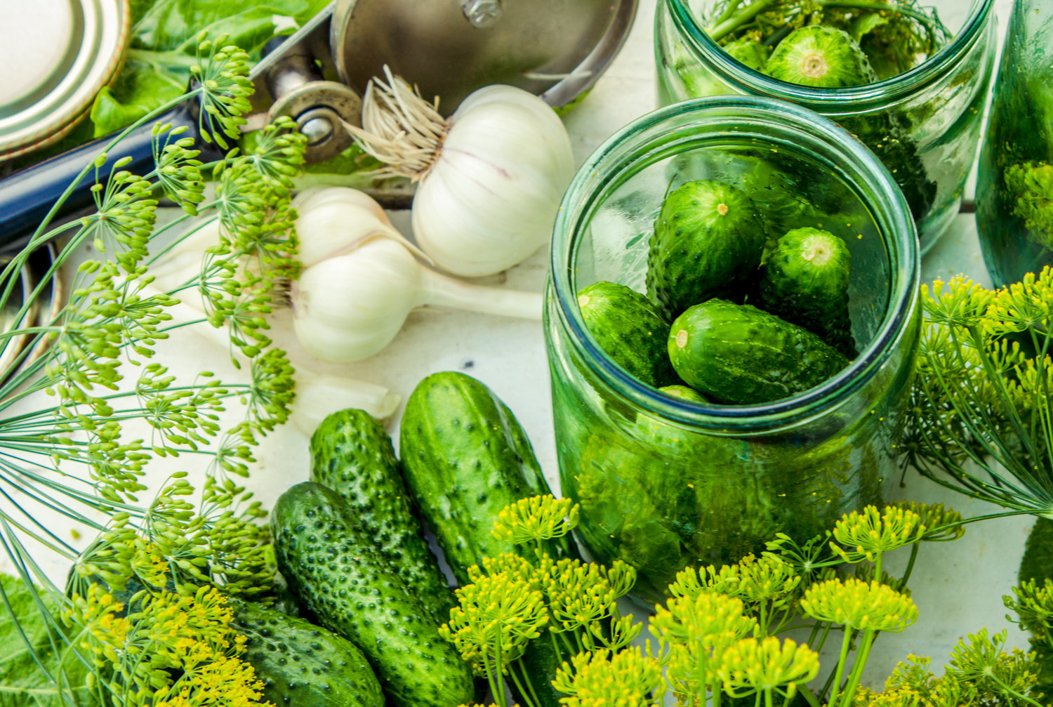 A sweet and sour history of Jews and pickles The Jewish Star www